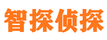 托里外遇出轨调查取证